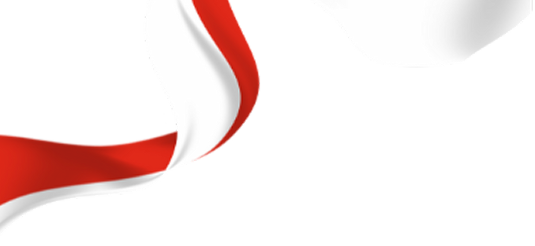 Cashplus Indonesia Flag