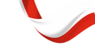 Cashplus Indonesia Flag